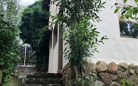 Cabaña Los Sauces
